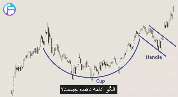 الگو فنجان