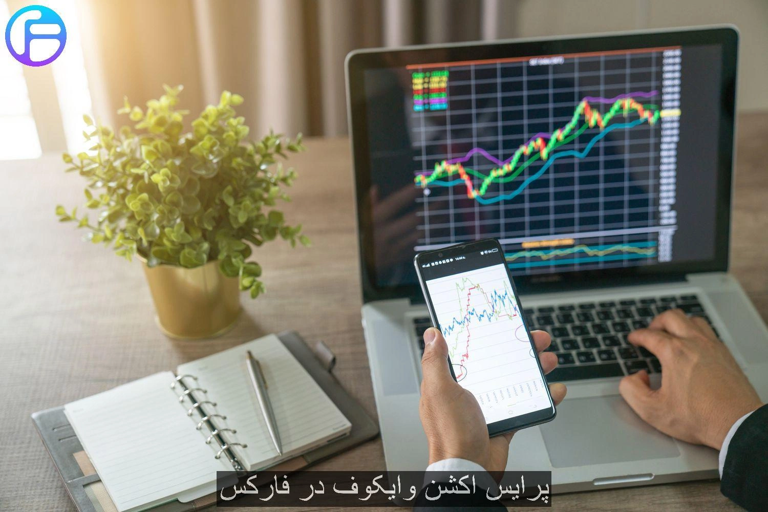 پرایس اکشن وایکوف در فارکس